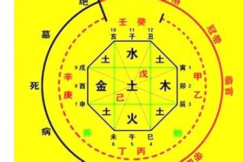 算命幾歲生孩子|生辰八字算命、五行喜用神查詢（免費測算）